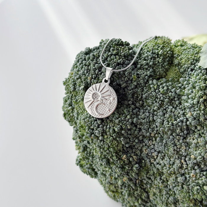 Heliophilia Silver Collar de Acero Crescent Grey
